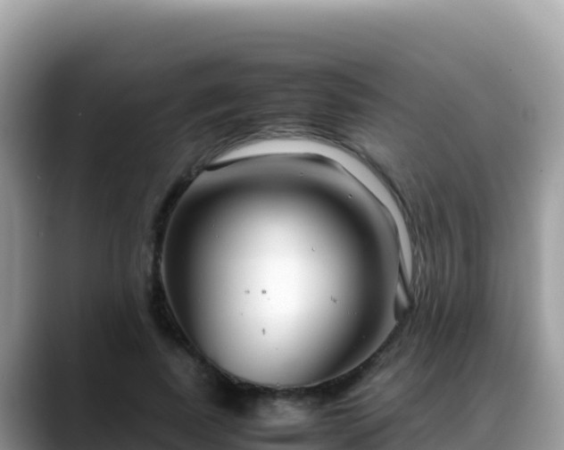 X0000088720739200706071619