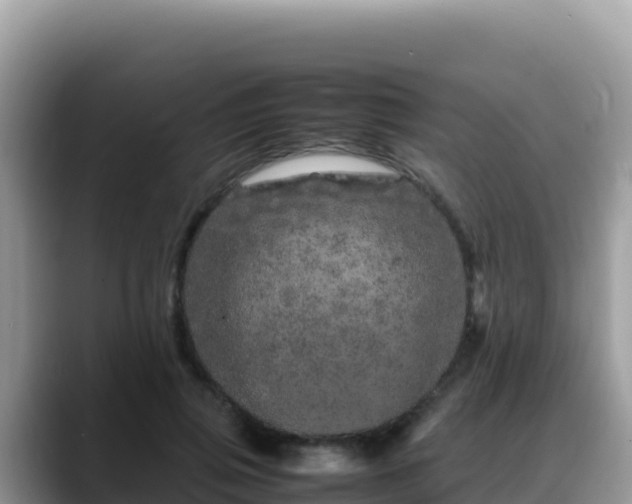 X0000088720741200706071619