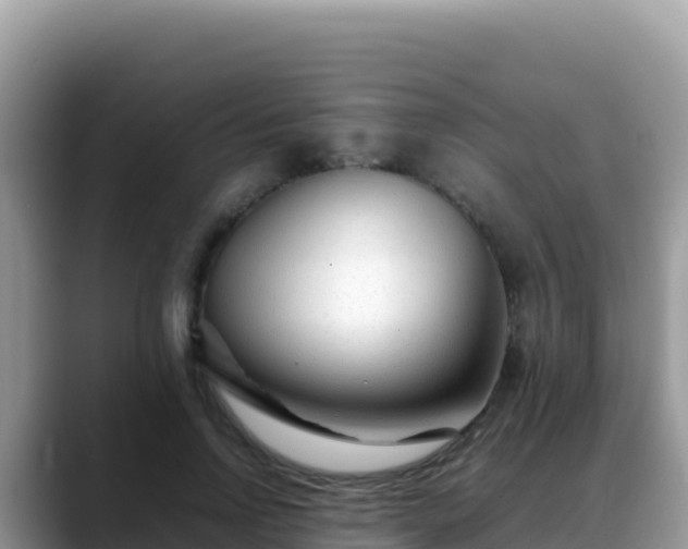 X0000088720742200706071619