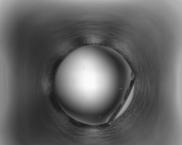 X0000088720743200706071619