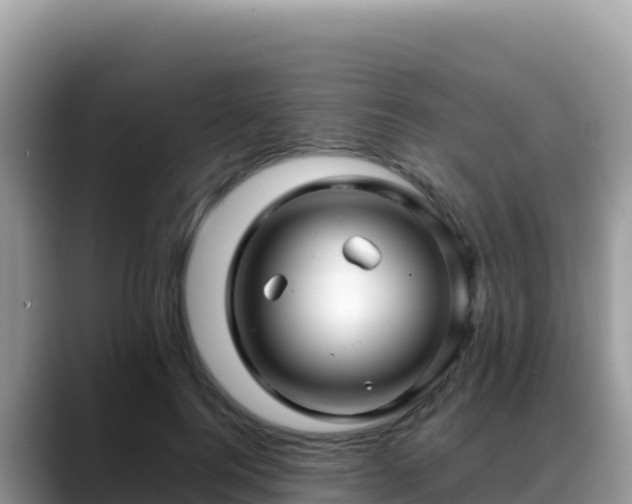 X0000088720744200706071619
