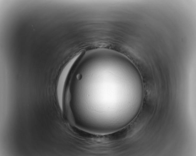 X0000088720745200706071619
