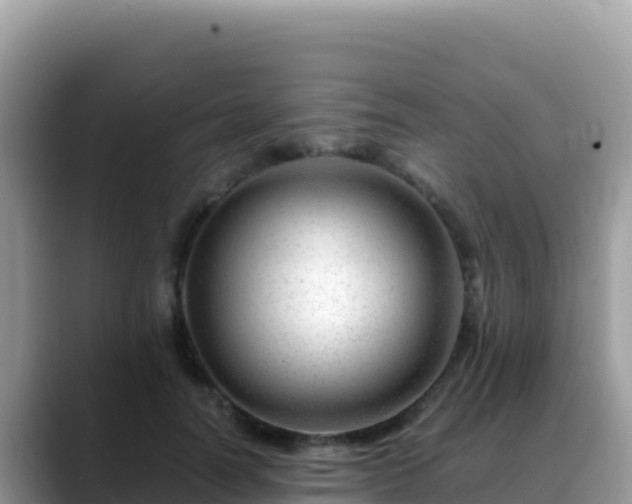 X0000088720746200706071619