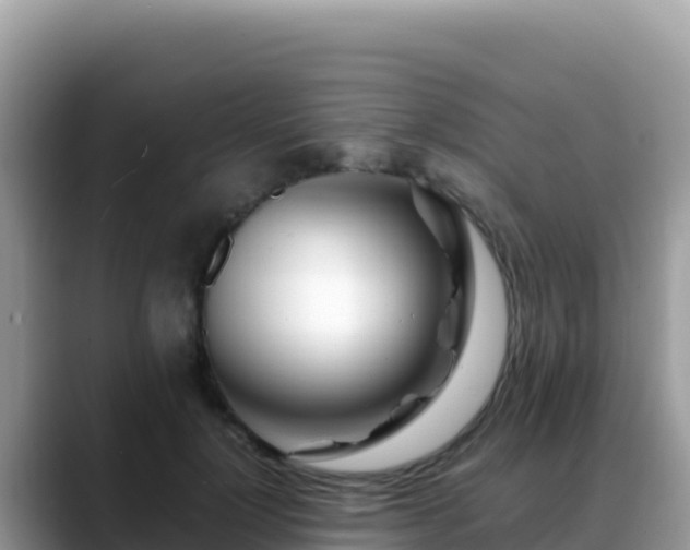 X0000088720748200706071619
