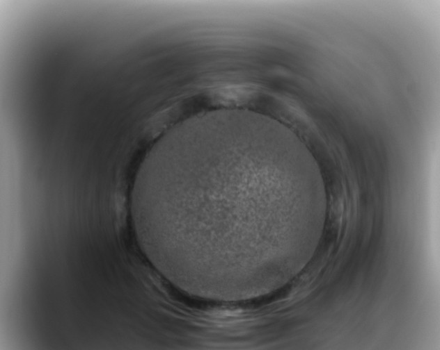 X0000088720749200706071619