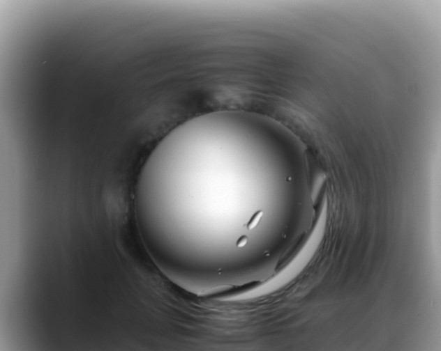 X0000088720751200706071619