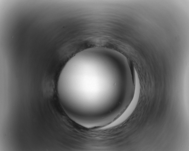 X0000088720752200706071619