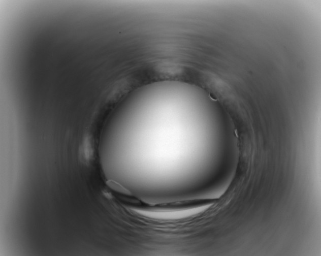 X0000088720758200706071619