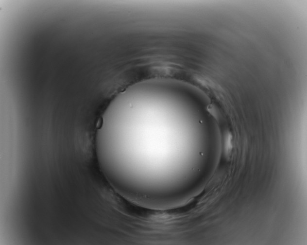 X0000088720759200706071619