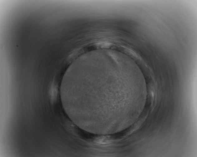 X0000088720761200706071620