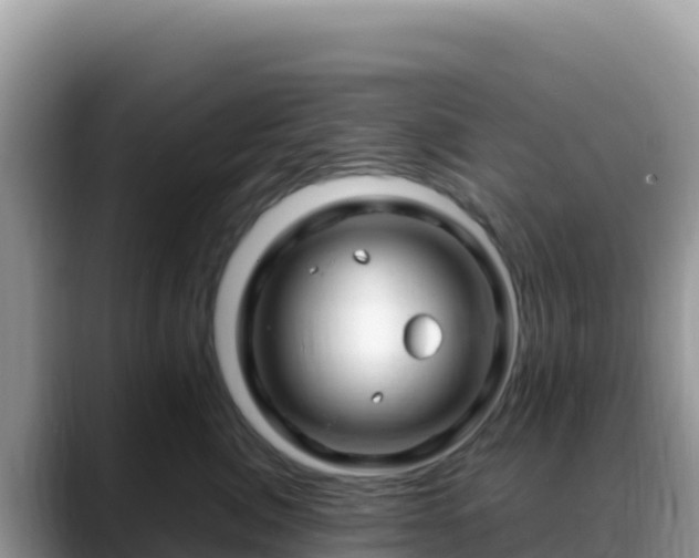 X0000088720764200706071620