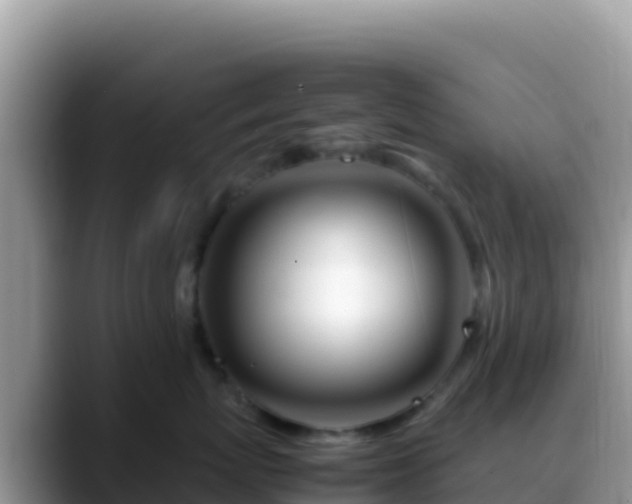 X0000088720767200706071620