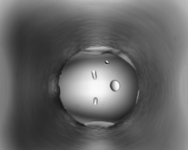 X0000088720768200706071620