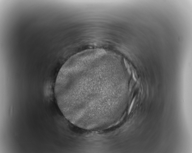 X0000088720770200706071619