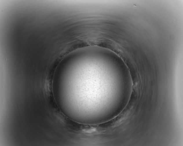 X0000088720772200706071619