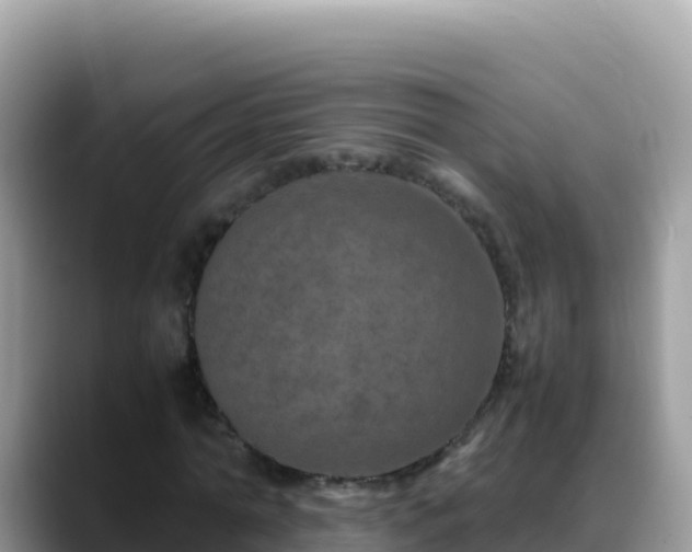 X0000088720774200706071619