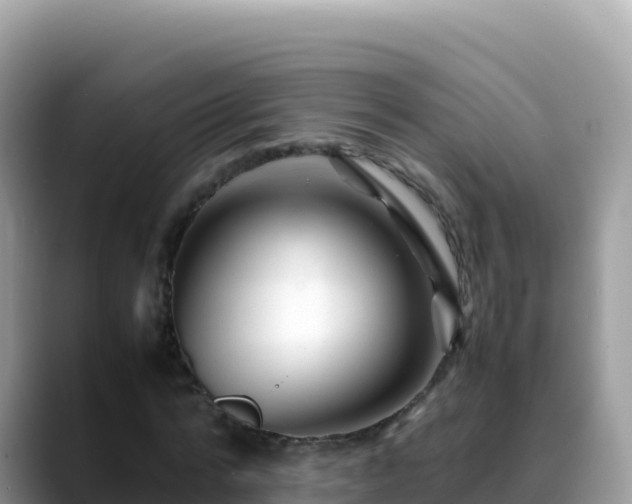 X0000088720776200706071619