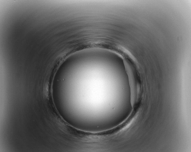 X0000088720777200706071619