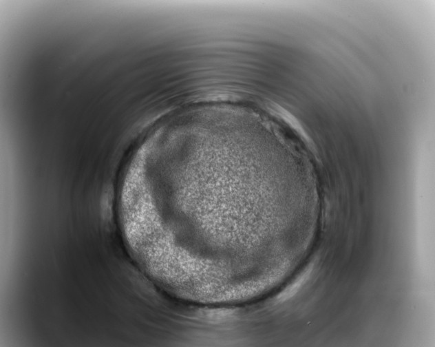 X0000088720778200706071619
