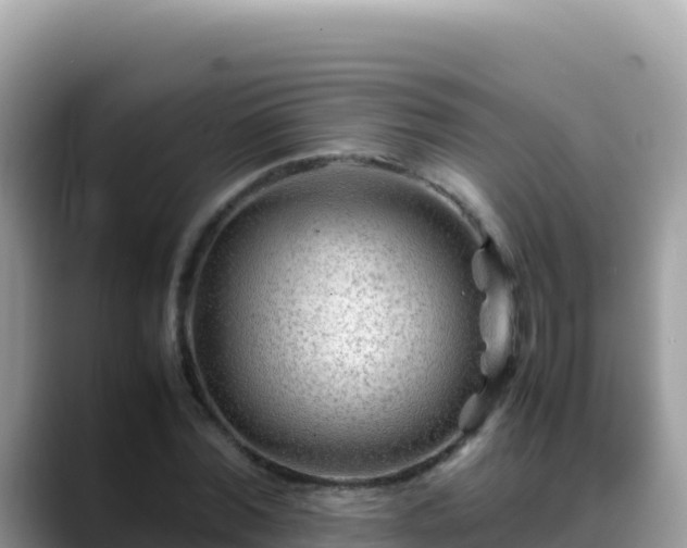 X0000088720780200706071619