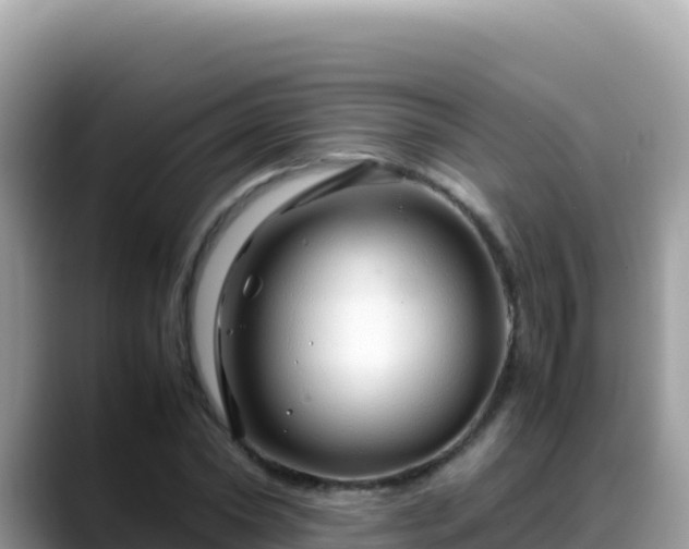 X0000088720782200706071619