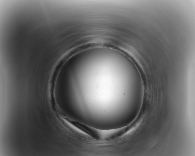 X0000088720783200706071619