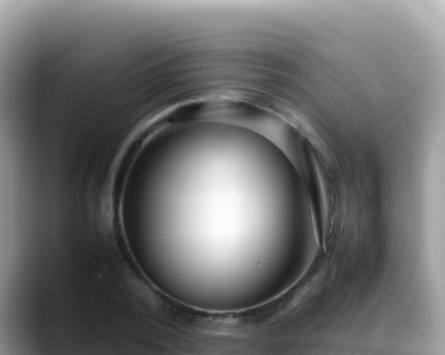 X0000088720784200706071619
