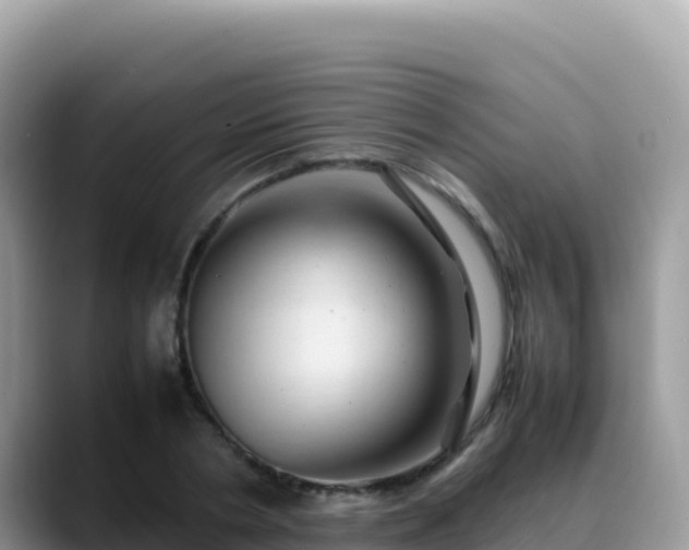 X0000088720786200706071619
