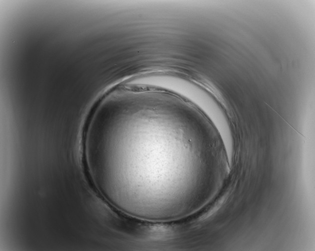 X0000088720787200706071619