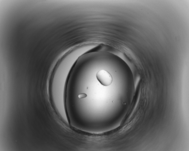 X0000088720788200706071619