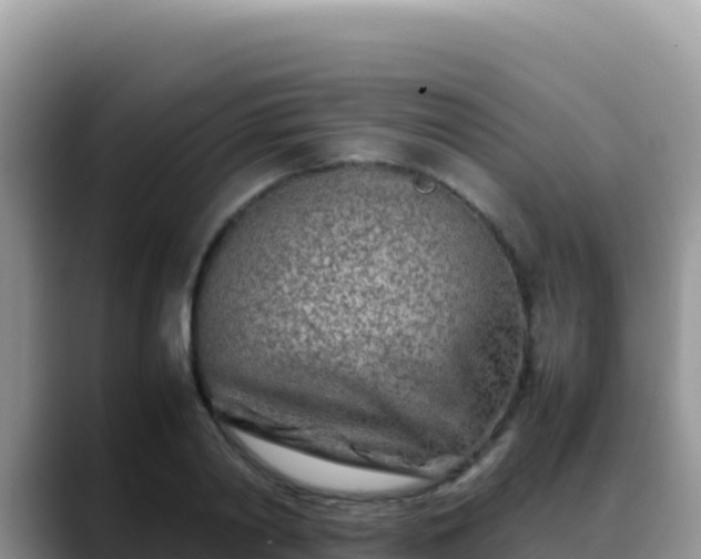 X0000088720790200706071619