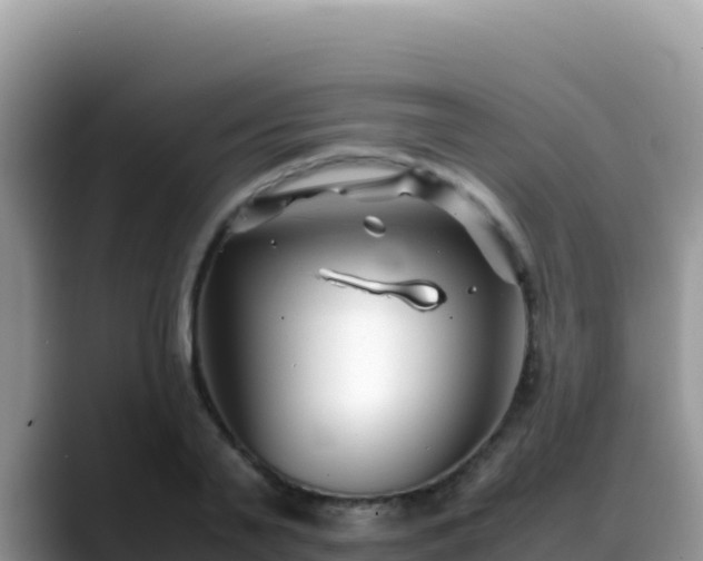 X0000088720791200706071619