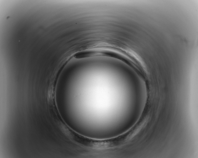 X0000088720793200706071619