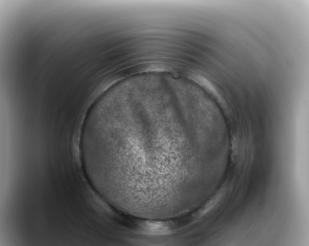 X0000088720794200706071619