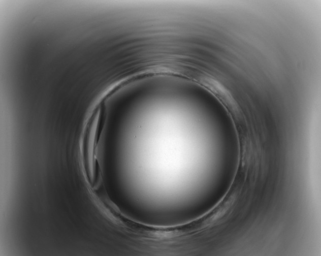 X0000088720796200706071619