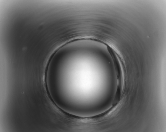 X0000088720797200706071619