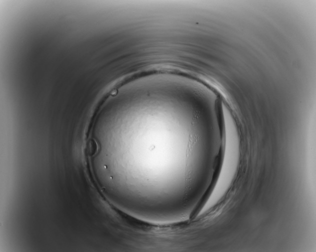 X0000088720799200706071619