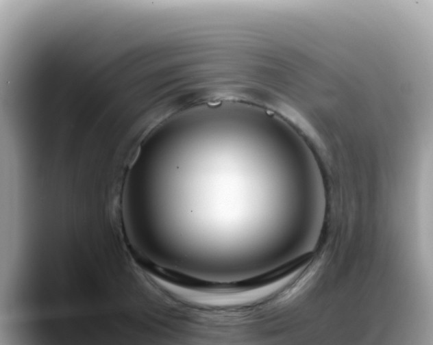 X0000088720801200706071619