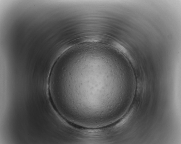 X0000088720802200706071619