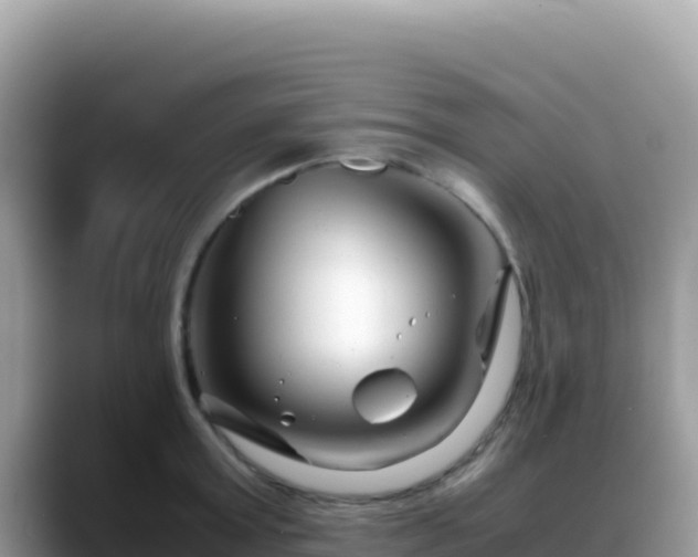 X0000088720803200706071619
