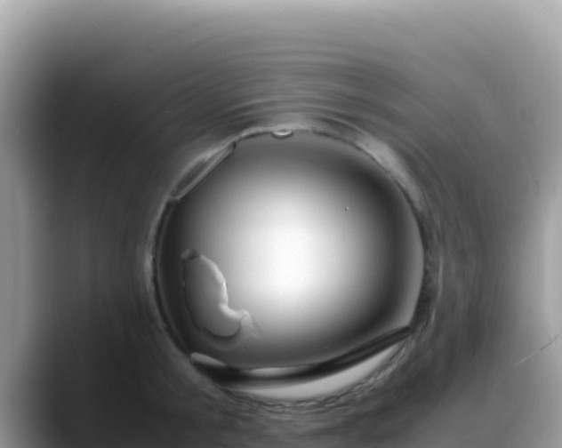 X0000088720805200706071619