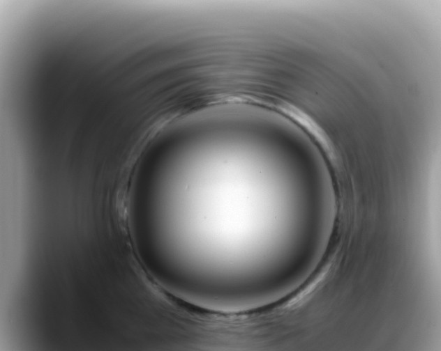 X0000088720809200706071618