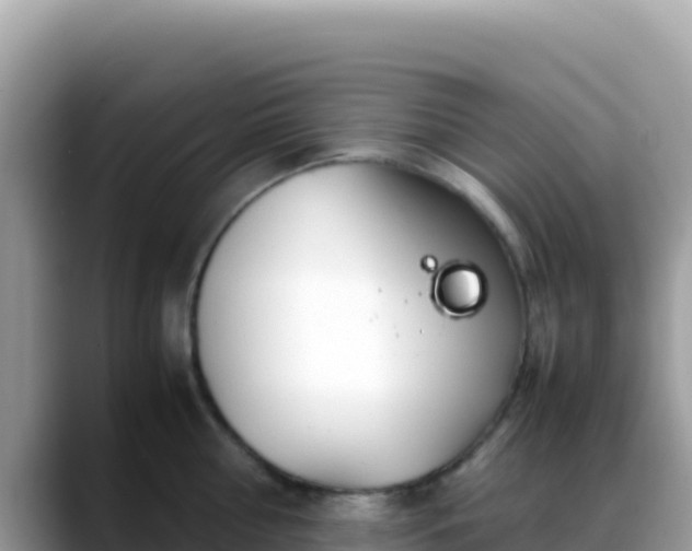 X0000088720810200706071618