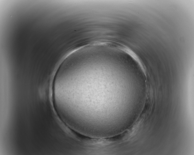 X0000088720811200706071618