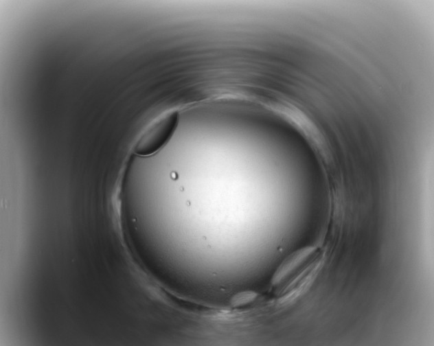 X0000088720814200706071618