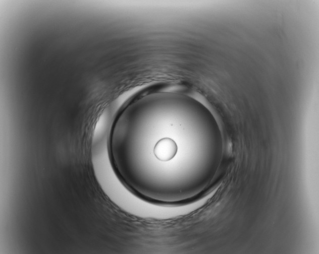 X0000088720818200706071618