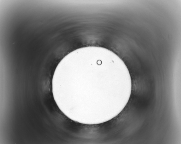 X0000088720820200706071618