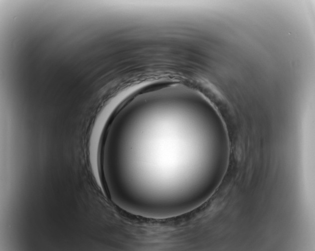 X0000088720821200706071618