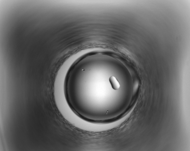 X0000088720822200706071618