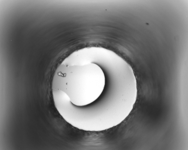 X0000088720824200706071618